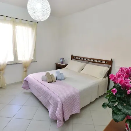 Izzhome Regina Margherita *